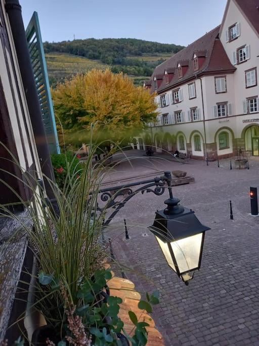 S'Gleina Gleck, In The Heart Of A Wine City, Charmant Studio 1 Piece Et 1 Salle De Bain Кайзерсберг Экстерьер фото