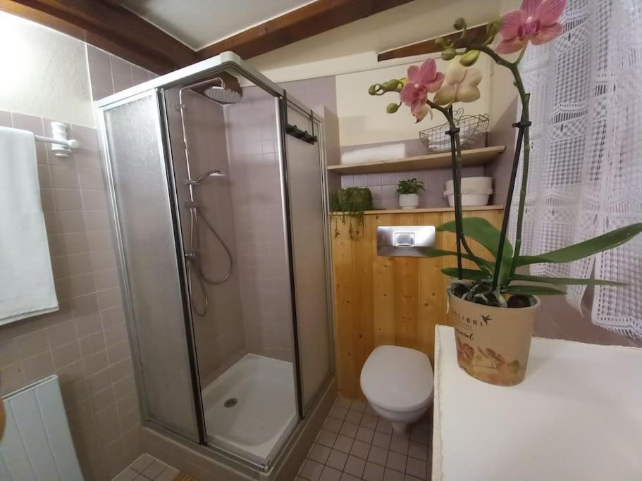 S'Gleina Gleck, In The Heart Of A Wine City, Charmant Studio 1 Piece Et 1 Salle De Bain Кайзерсберг Экстерьер фото