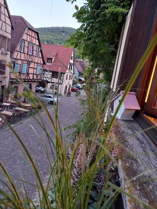 S'Gleina Gleck, In The Heart Of A Wine City, Charmant Studio 1 Piece Et 1 Salle De Bain Кайзерсберг Экстерьер фото