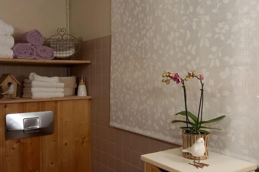 S'Gleina Gleck, In The Heart Of A Wine City, Charmant Studio 1 Piece Et 1 Salle De Bain Кайзерсберг Экстерьер фото